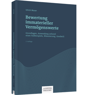 Alle Details: Bewertung immaterieller Vermögenswerte Bewertung immaterieller Vermögenswerte - Grundlagen, Anwendung anhand eines Fallbeispiels, Bilanzierung, Goodwill