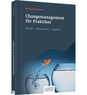 Changemanagement für Praktiker - Mindset - Infrastructure - Capability