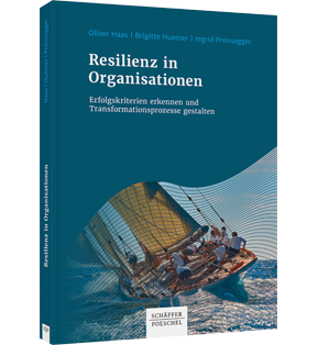 Resilienz in Organisationen - Erfolgskriterien erkennen und Transformationsprozesse gestalten