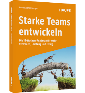 Starke Teams entwickeln - Die 12-Wochen-Roadmap für mehr Vertrauen, Leistung und Erfolg