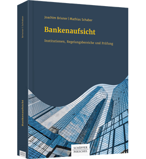 Bankenaufsicht - Institutionen, Regelungsbereiche und Prüfung