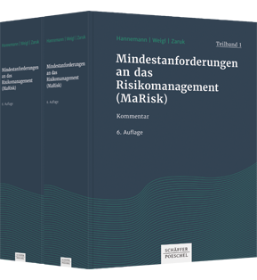 Mindestanforderungen an das Risikomanagement (MaRisk) - Kommentar