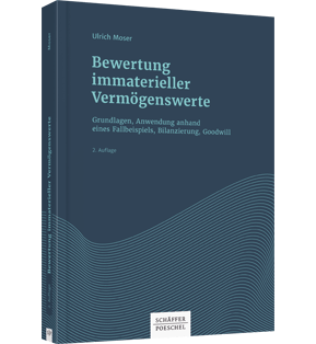 Bewertung immaterieller Vermögenswerte - Grundlagen, Anwendung anhand eines Fallbeispiels, Bilanzierung, Goodwill