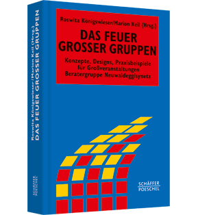 Das Feuer großer Gruppen - Konzepte, Designs, Praxisbeispiele für Grossveranstaltungen