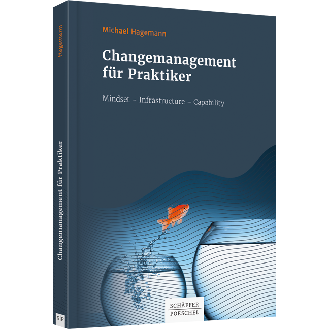 Changemanagement für Praktiker - Mindset - Infrastructure - Capability