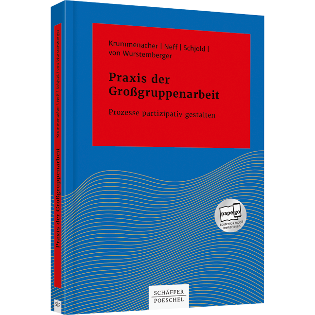 Praxis der Großgruppenarbeit - Prozesse partizipativ gestalten