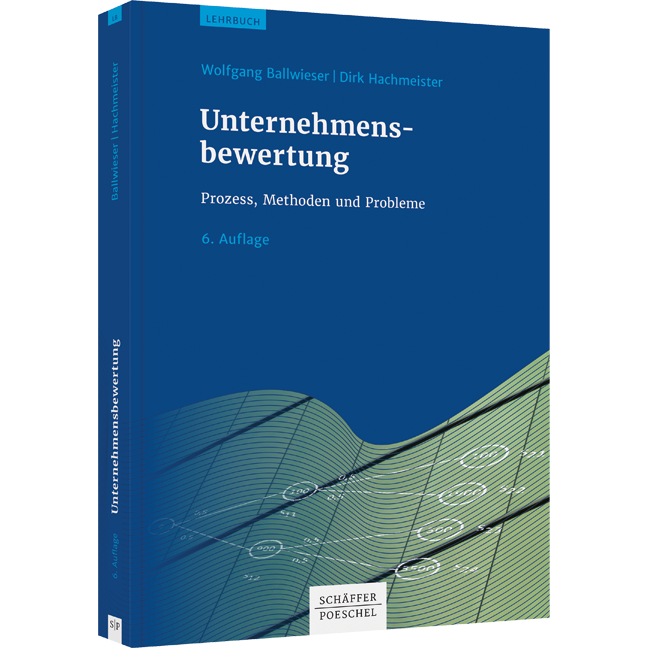 Unternehmensbewertung - Prozess, Methoden und Probleme