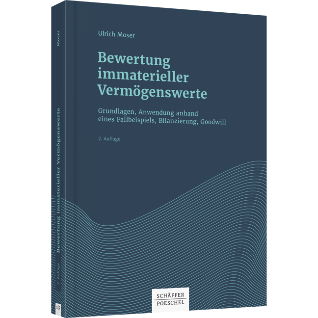 Bewertung immaterieller Vermögenswerte - Grundlagen, Anwendung anhand eines Fallbeispiels, Bilanzierung, Goodwill