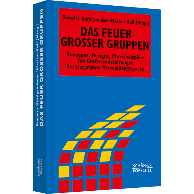 Das Feuer großer Gruppen - Konzepte, Designs, Praxisbeispiele für Grossveranstaltungen