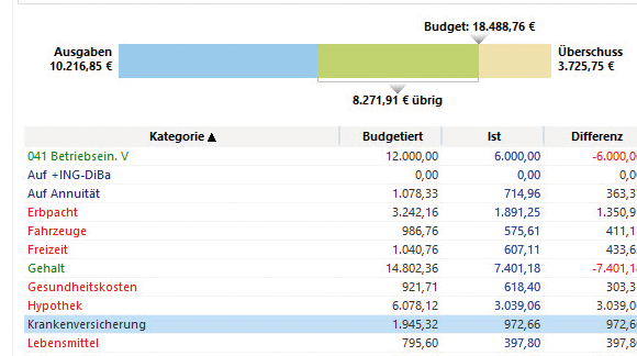 Professionelle Ausgabenkontrolle