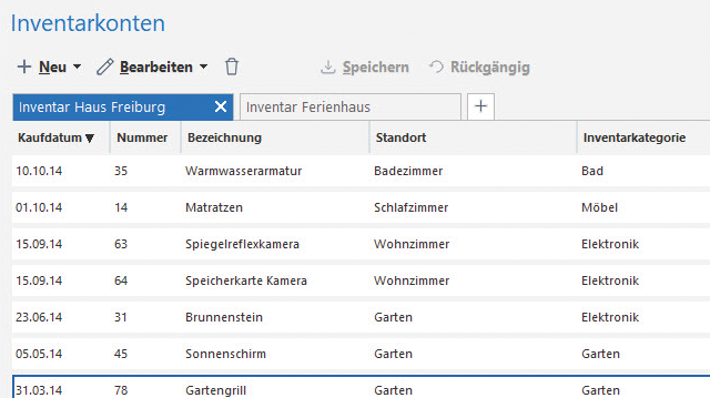 Screen: Inventarkonten in Lexware FinanzManager Deluxe