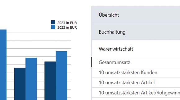 Auswertungsdiagramme in Lexware business